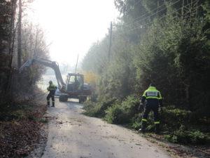 Obrezovanje vej ob cestah 2